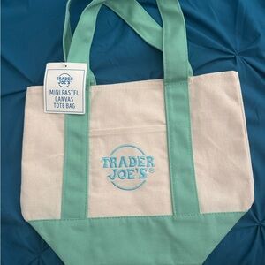 Trader Joe's Spring mint green mini tote